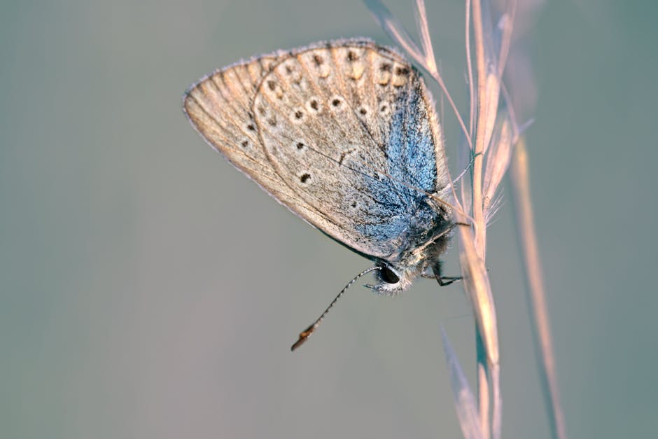 Alcon Announces Q1 2025 Results and Introduces Revolutionary Changes in Ophthalmic Surgery with Unity VCS