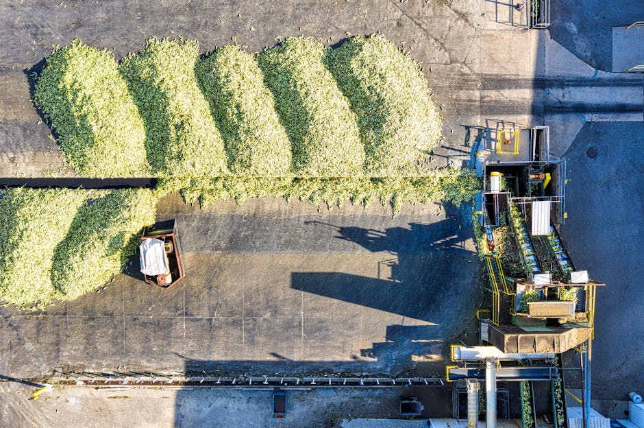 Ishiba Indicates Japan May Boost Corn Imports in US Trade Negotiations