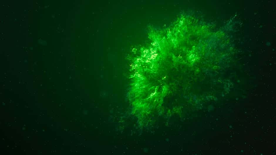 US Authorities Endorse Greenlight for Venture Global's CP2 LNG Project